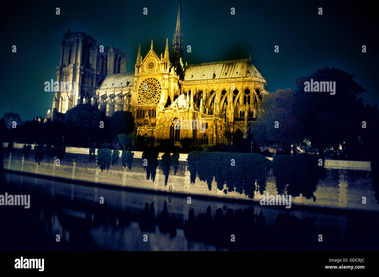 Notre Dame mit Flutlicht Stockfoto