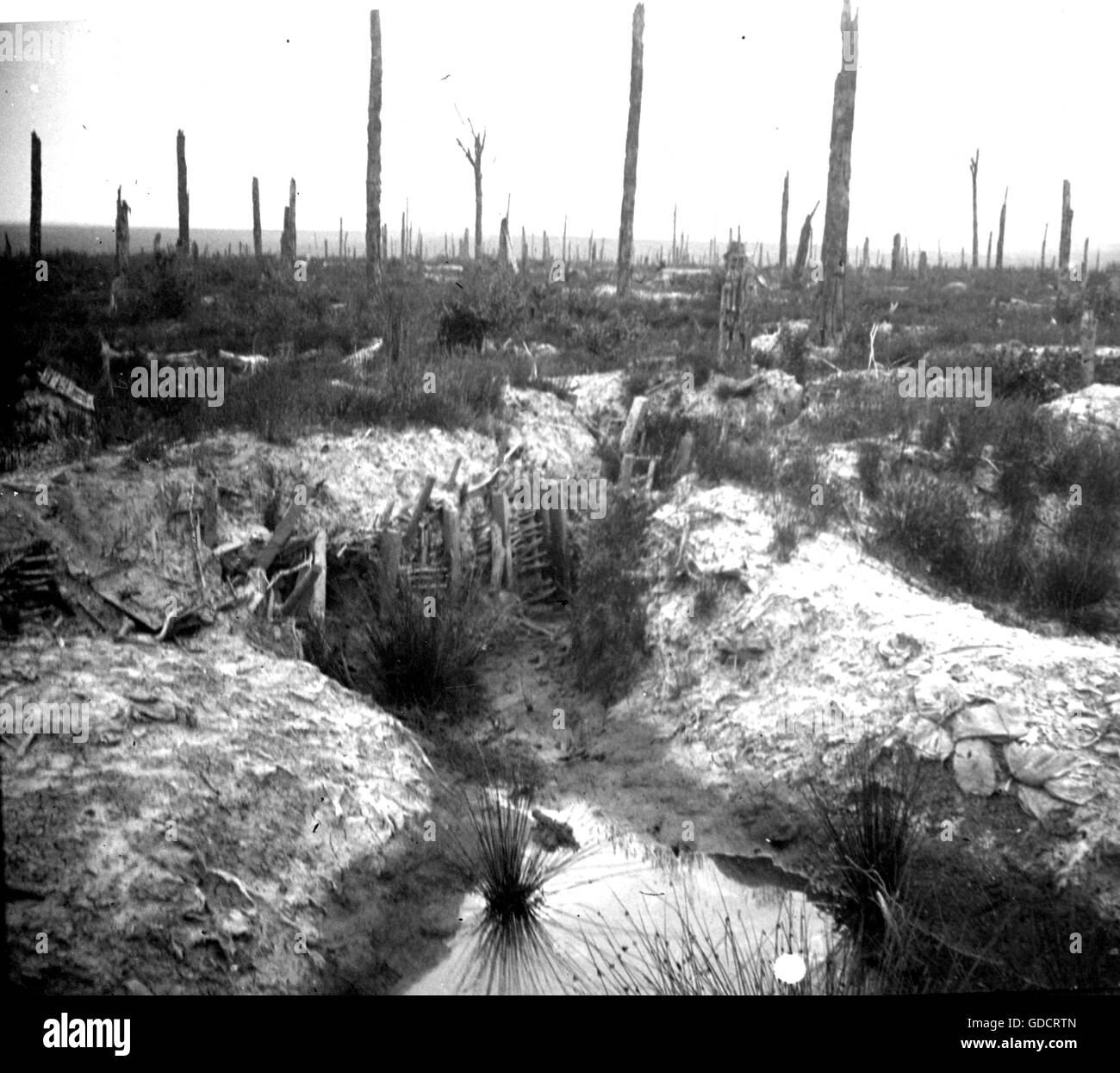 Weltkrieg 1 schlachtfeld Fotos und Bildmaterial in hoher Auflösung