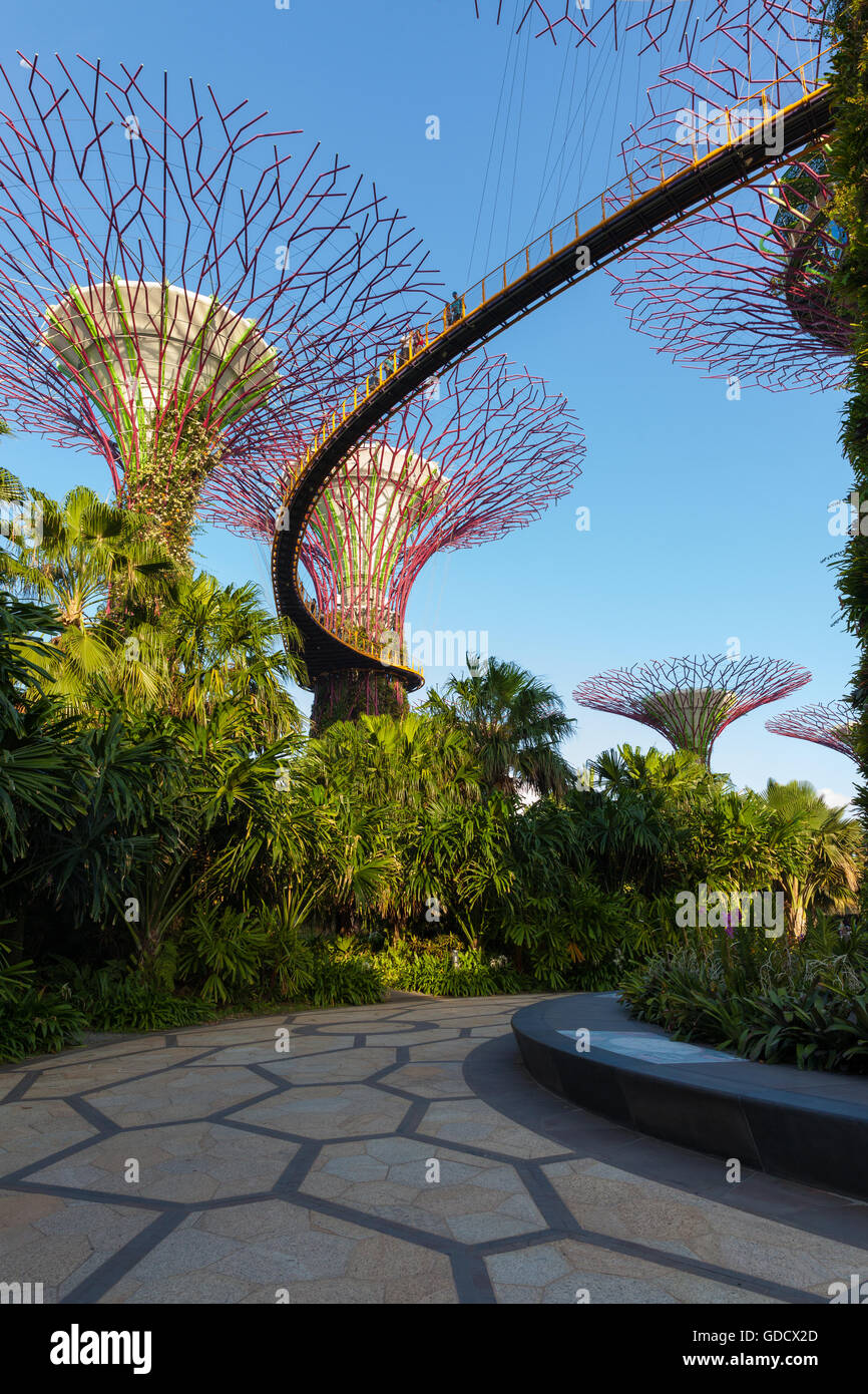 Touristen Fuß entlang der OCBC Skyway an die Supertree Groves in Gardens By The Bay, Singapur. Stockfoto