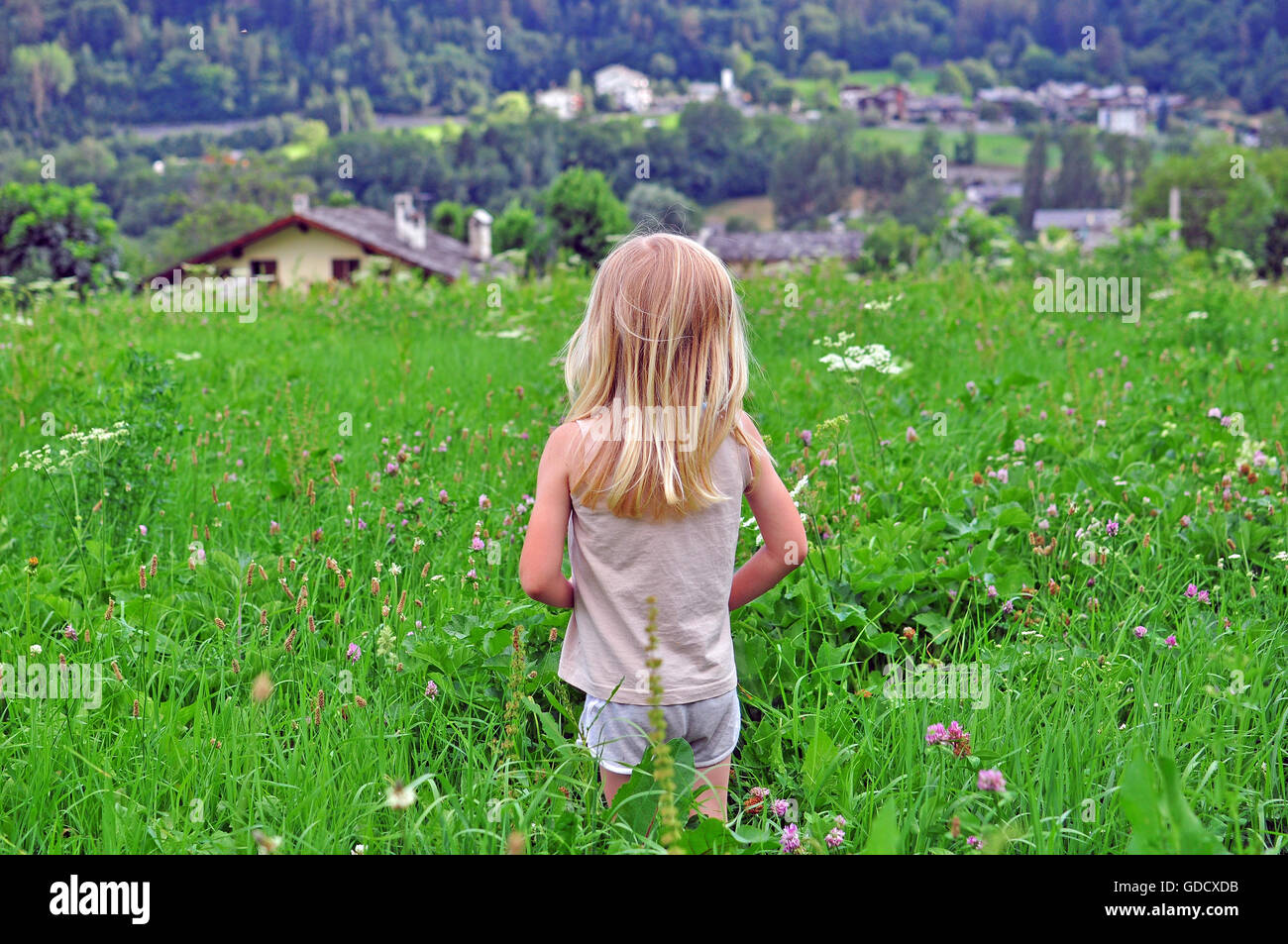 Blonder Junge in der Wiese zu Hause schauen Stockfoto
