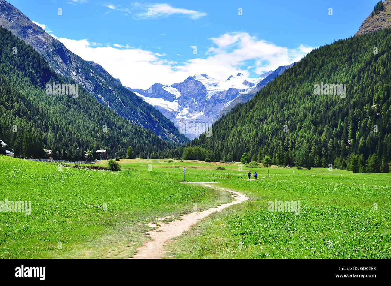 Nationalpark Gran Paradiso, Italien Stockfoto