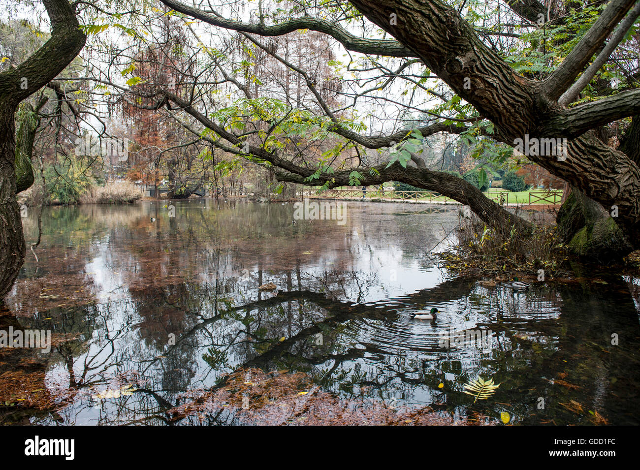 Italien, Lombardei, Mailand, Parco Sempione Stockfoto