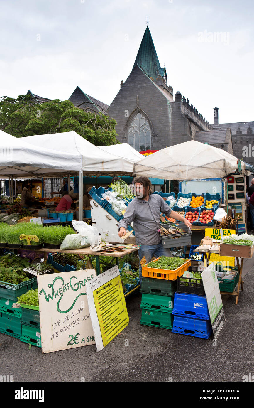 Irland, Co. Galway, Galway, Markt Samstag außerhalb St. Nicholas' Collegiate Church, Weizen Grass stall Stockfoto