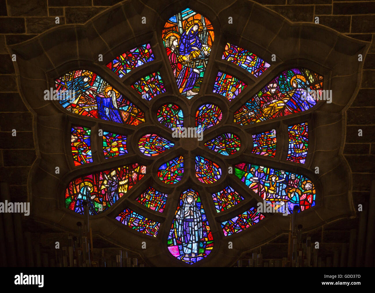 Irland, Co. Galway, Galway, Kathedrale, Nord-Rosette Stockfoto