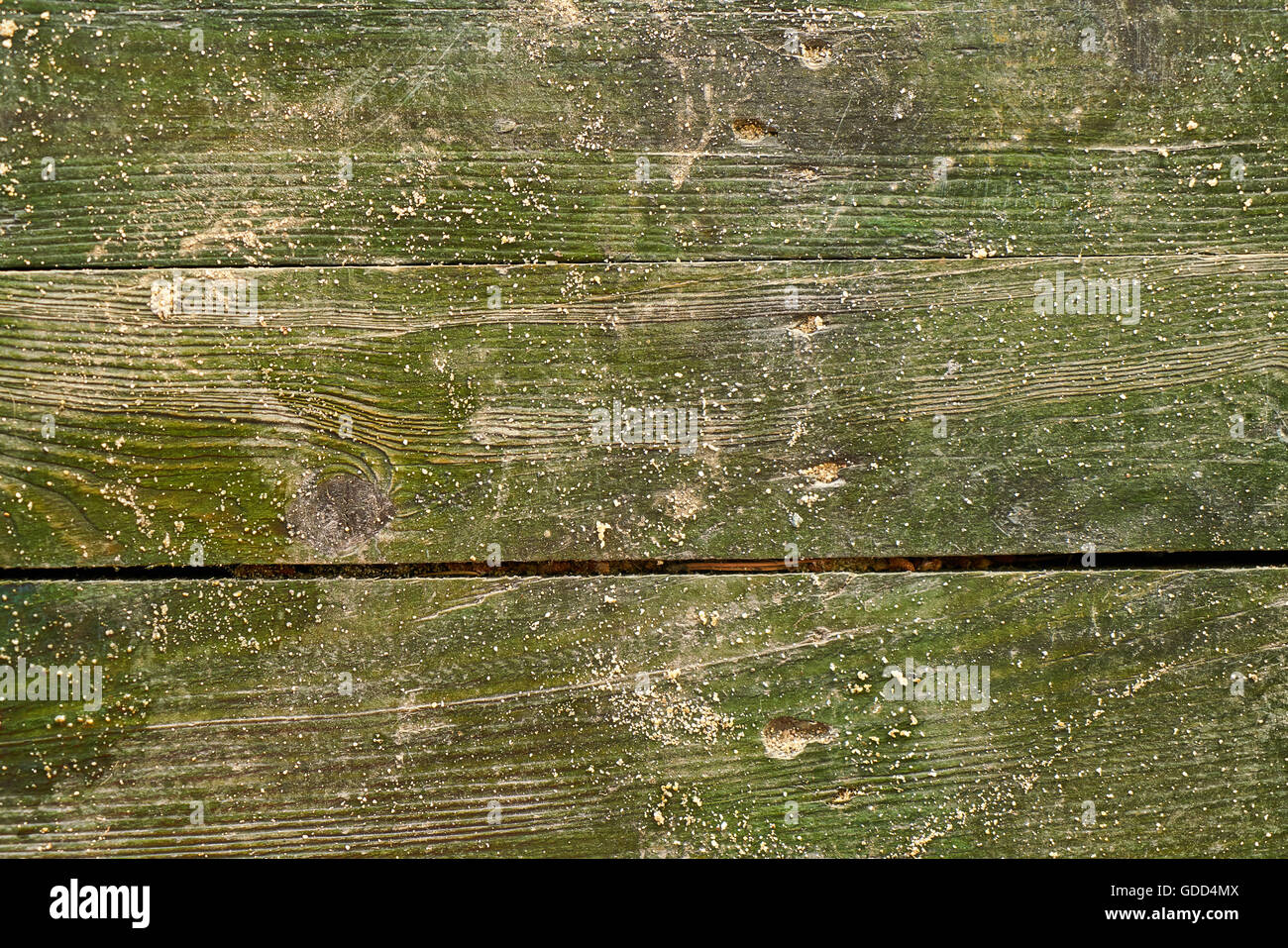 Holz Textur Stockfoto