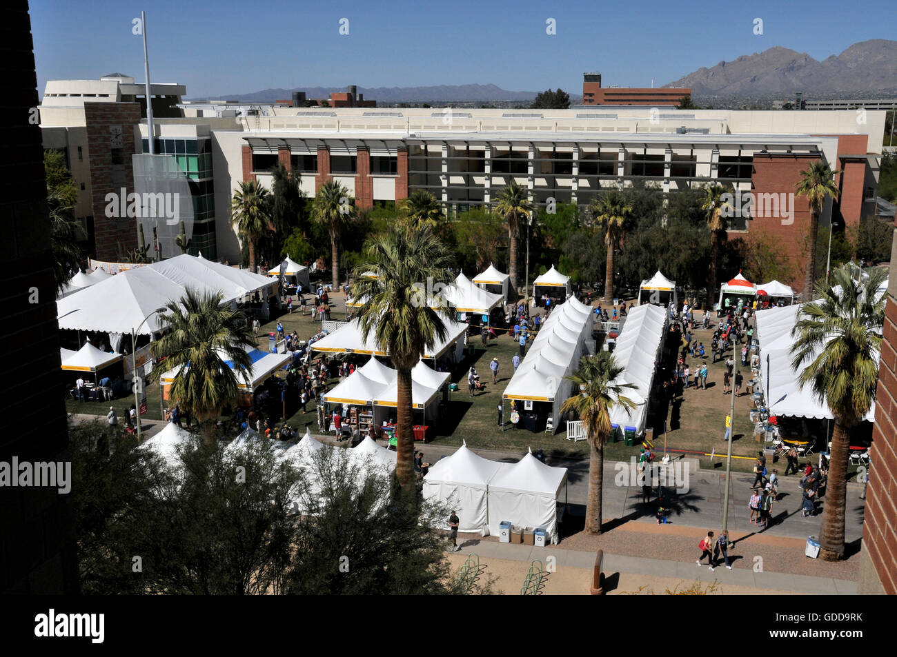 Der Tucson Festival of Books an der University of Arizona ist eine jährliche zweitägige Veranstaltung in Tucson, Arizona, USA. Stockfoto