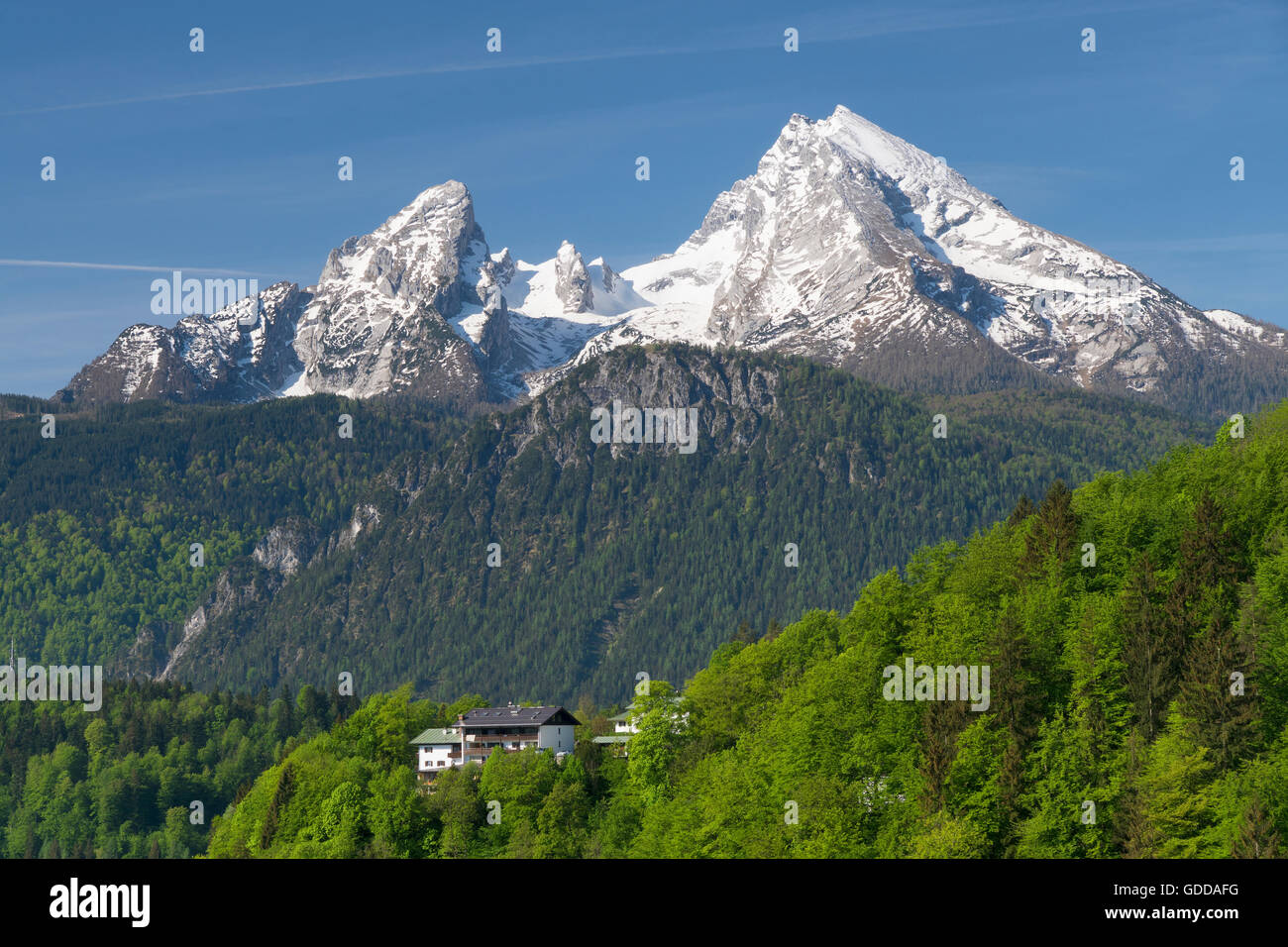 imposanten Watzmann (2.713 m) im Bereich Berchtesgaden, Deutschland Stockfoto