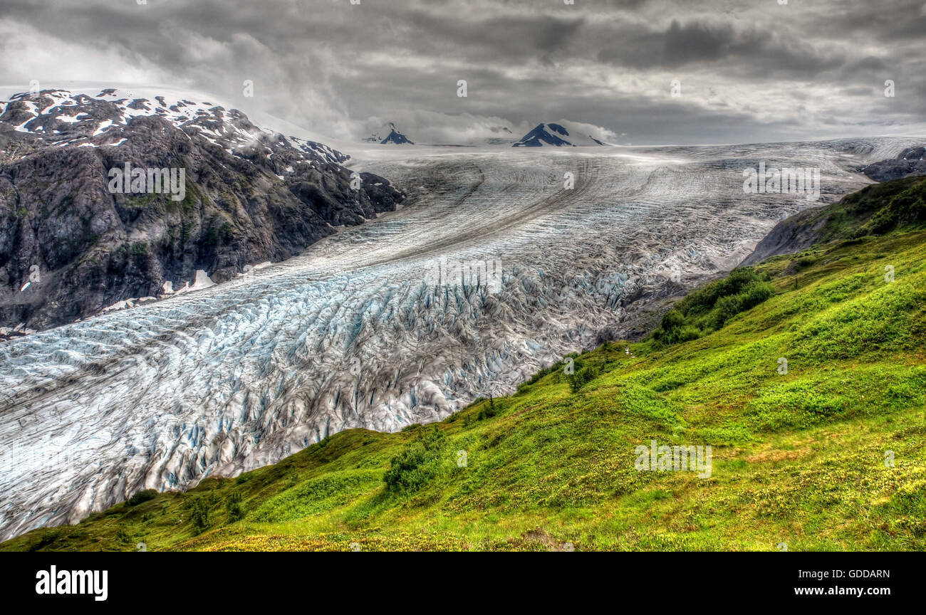 Exit-Gletscher, Gletscher, USA, Alaska, Alaska-Halbinsel, Landschaft, Landschaft, Eis, Natur, Gletscherzunge, Berge Stockfoto