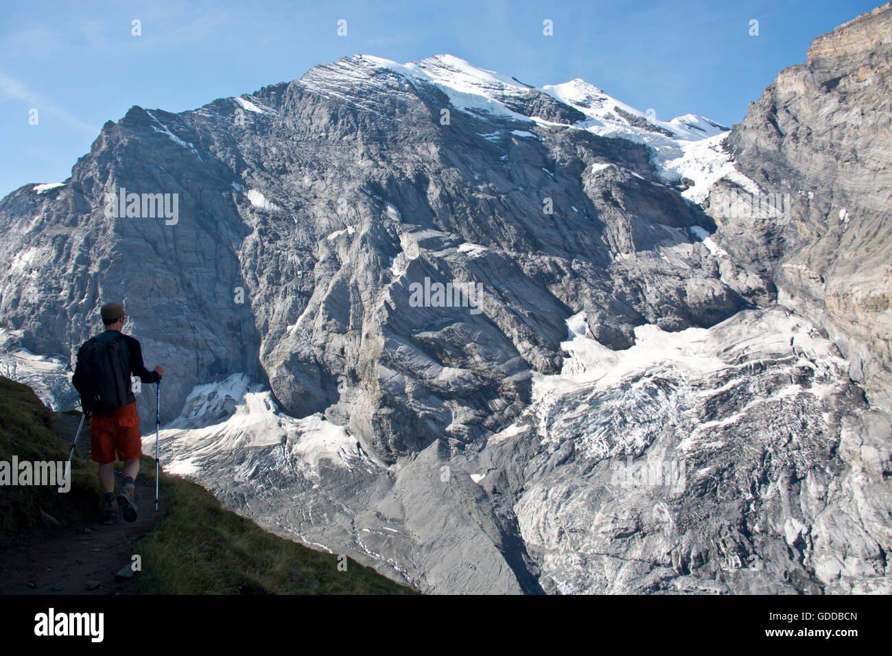 Schweiz, Europa, Berner Oberland, Kiental, Alpen, Berg, Wildi Frau, Stöcke, Wanderer, Sommer Stockfoto