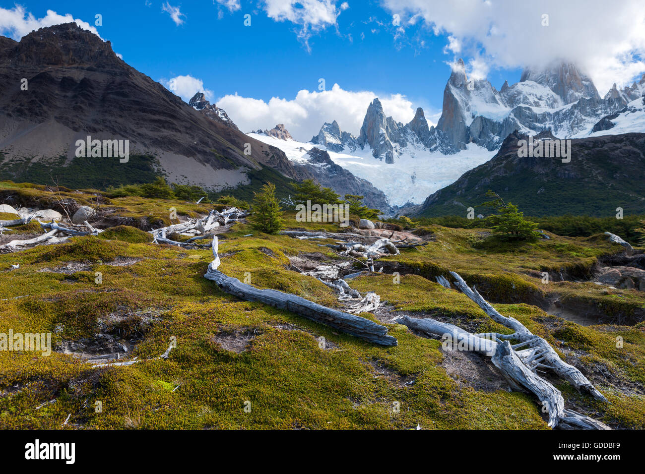 Cerro Fitz Roy, Argentinien, Patagonien Stockfoto