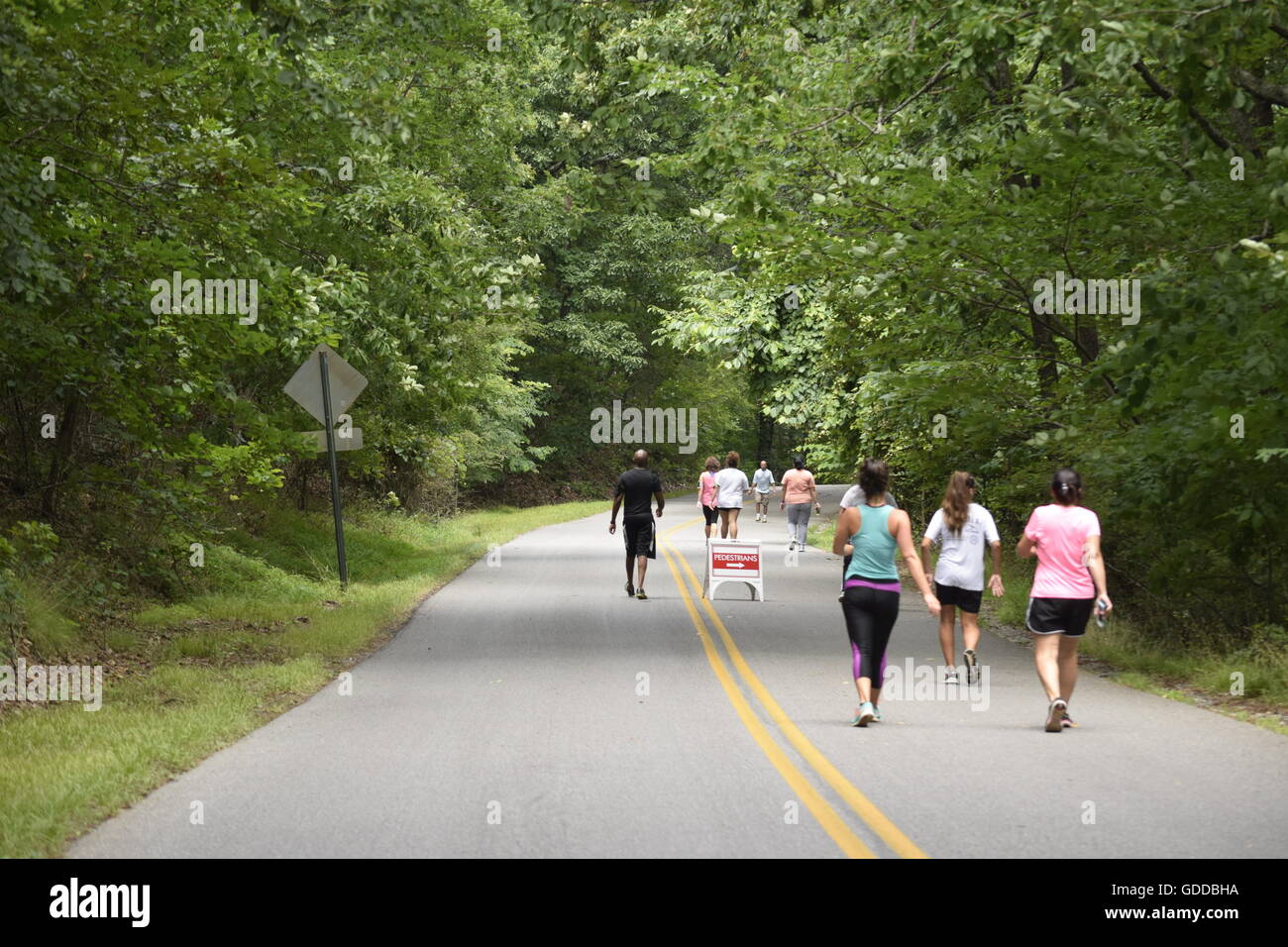 Kennesaw Mountain Stockfoto