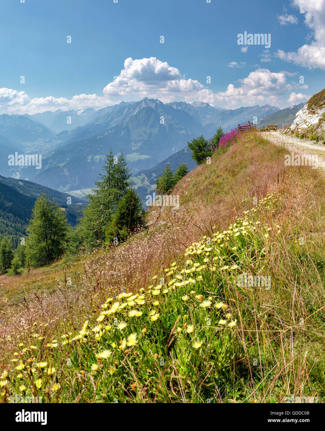 Matrei in Osttirol, Österreich, Goldried Bergbahnen, Europa Panoramaweg, Großvenediger Stockfoto