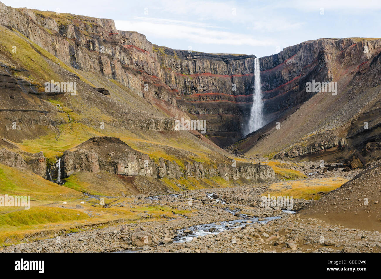 Wasserfall Hengifoss im Tal Fljotsdalur in der Nähe von Egilsstadir in Ost-Island. Stockfoto