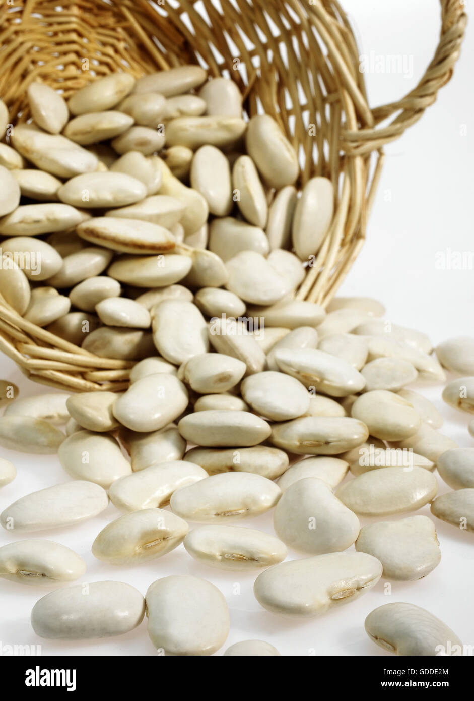 Korb mit Französisch Soissons Bohnen, Phaseolus vulgaris Stockfoto