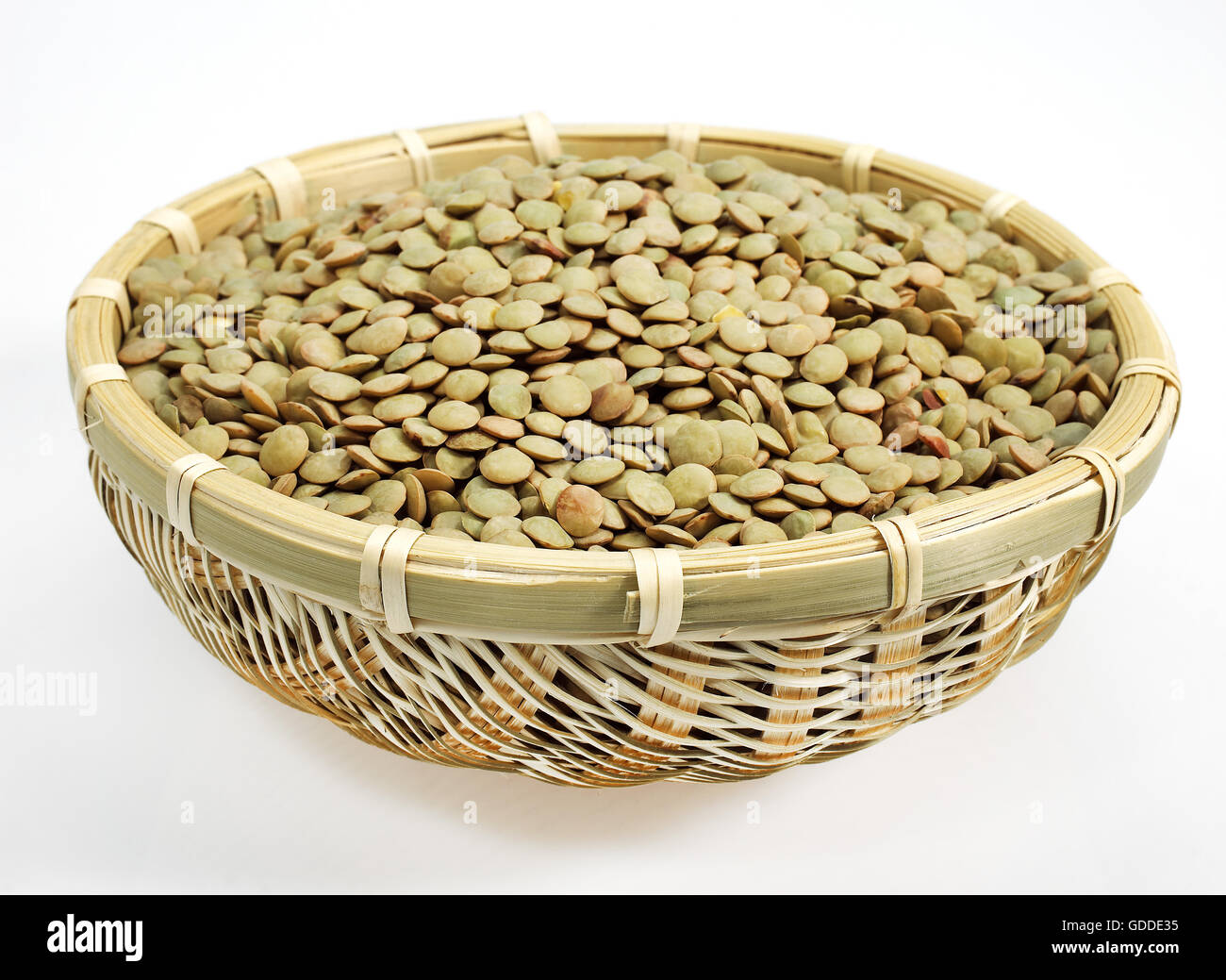 Französische Linsen genannt Saint Mehl blonde Linsen, Lens Esculenta vor weißem Hintergrund Stockfoto