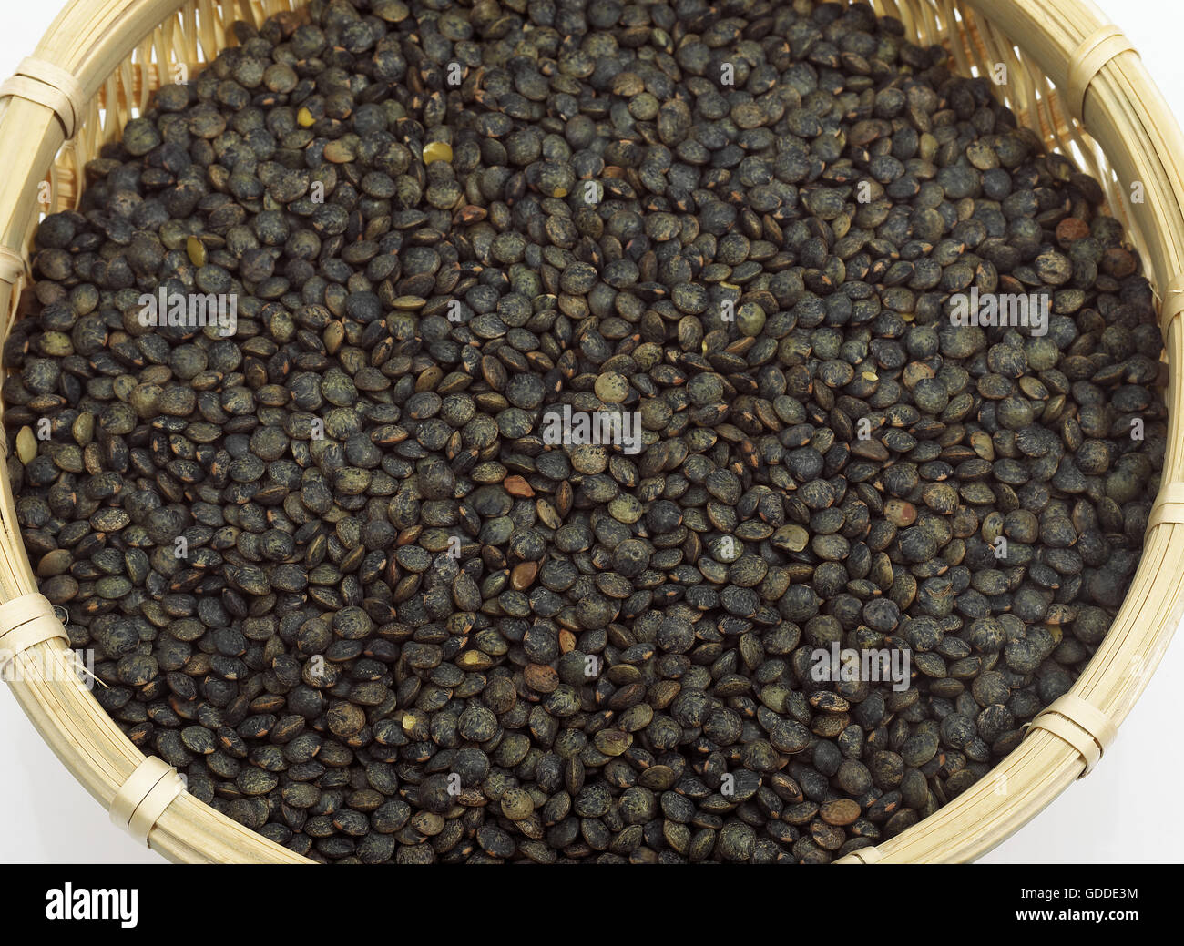 Französische grüne Puy-Linsen, lens Esculenta, trockenes Gemüse im Korb Stockfoto