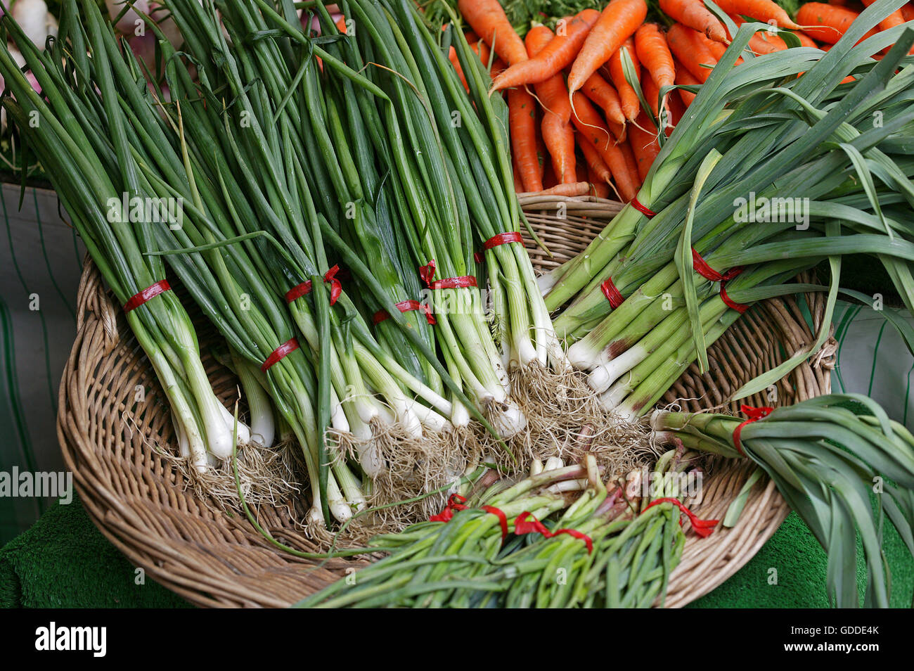 Weiße Zwiebeln, Allium Cepa und Karotten, Daucus Carota in Korb Stockfoto