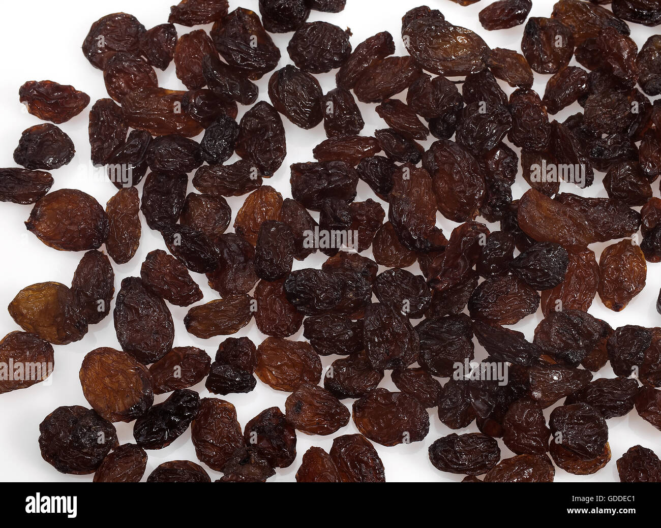 Johannisbeere, Vitis Vinifera Apyrena, schwarze Korinth Traube Trockenfrüchte Stockfoto