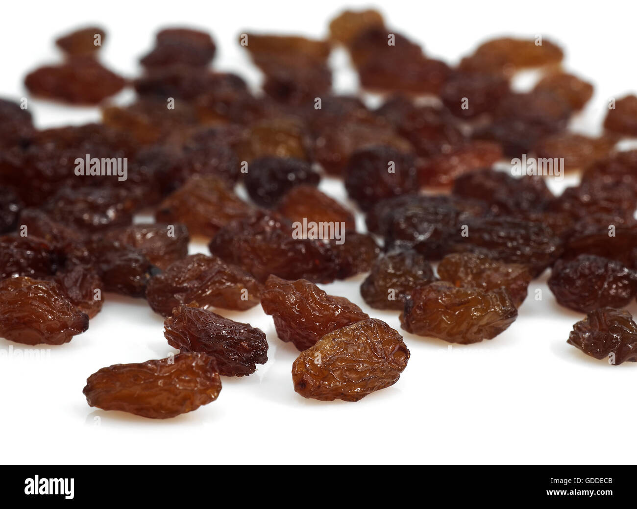Johannisbeere, Vitis Vinifera Apyrena, schwarze Korinth Traube Trockenfrüchte Stockfoto