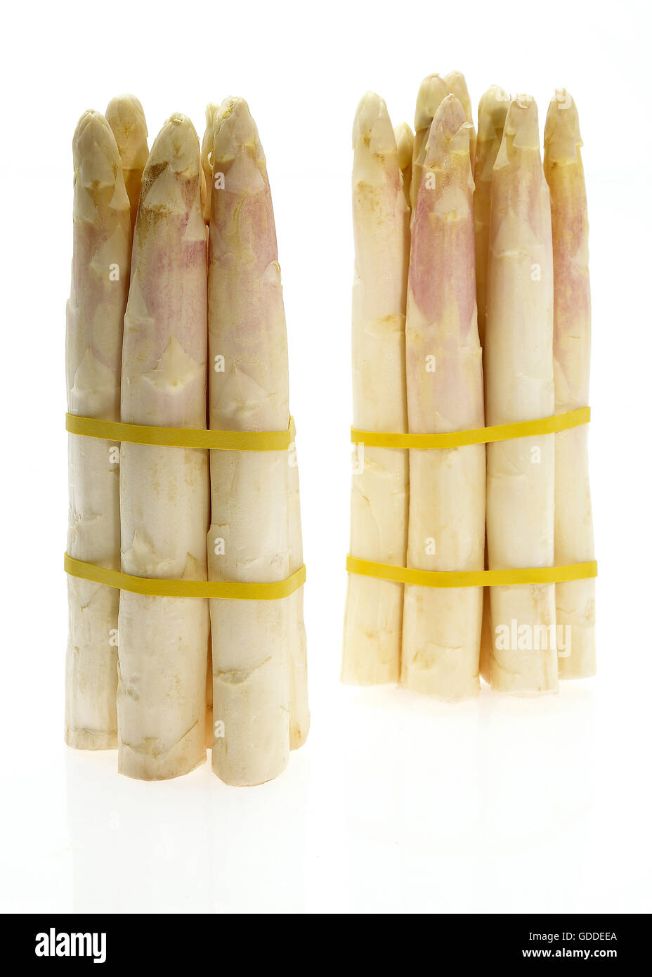 Spargel, Spargel Officinalis, Gemüse vor weißem Hintergrund Stockfoto