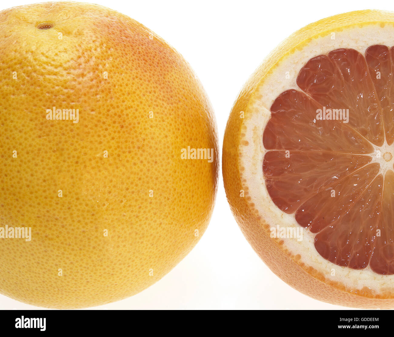 Grapefruit, citrus Grandis vor weißem Hintergrund Stockfoto