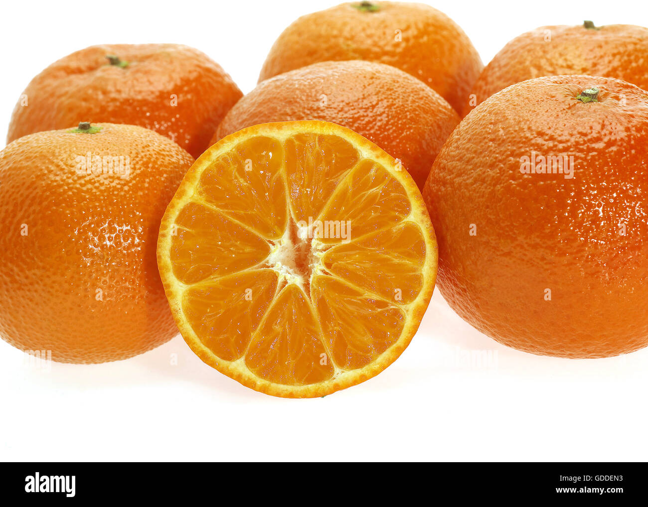 CLEMENTINE Obst citrus Reticulata vor weißem Hintergrund Stockfoto