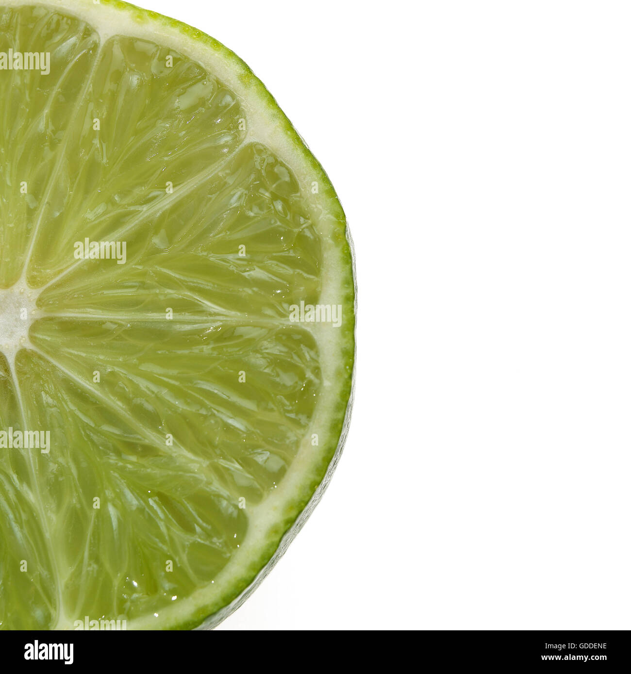 GRÜNE Zitrone citrus Aurantifolia vor weißem Hintergrund Stockfoto