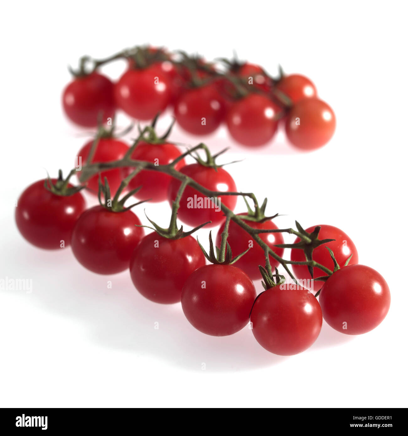 Cherry-Tomaten, Solanum Lycopersicum vor weißem Hintergrund Stockfoto