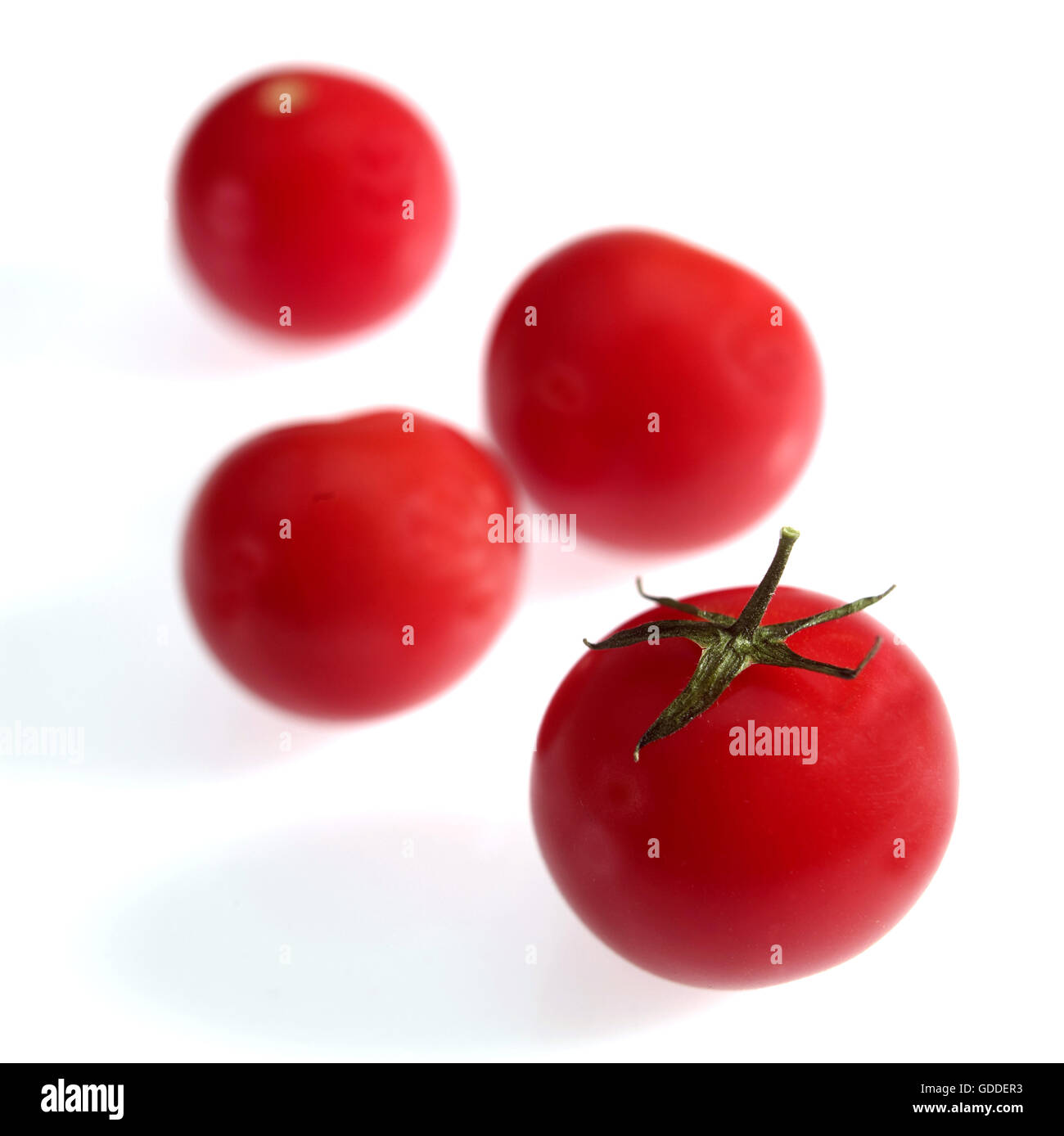 Cherry-Tomaten, Solanum Lycopersicum vor weißem Hintergrund Stockfoto