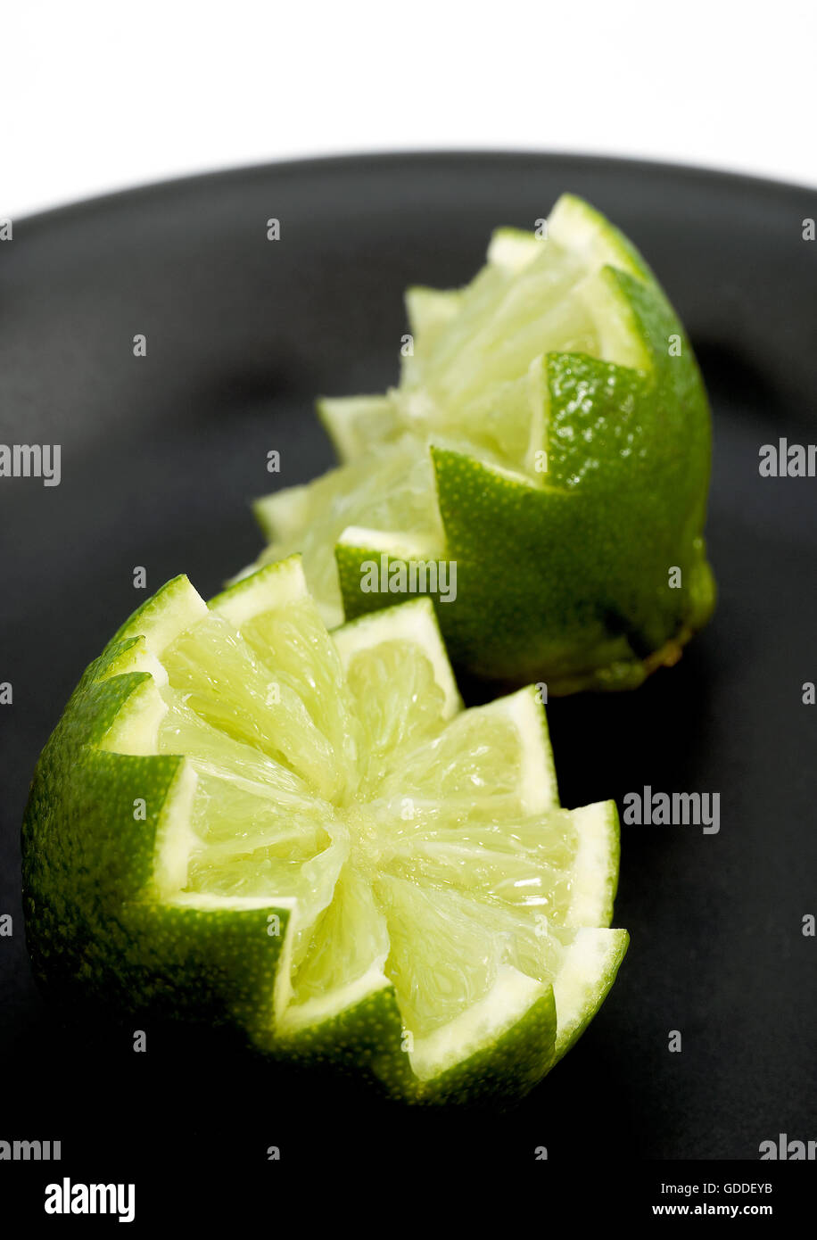 GRÜNE Zitrone citrus aurantifolia Stockfoto