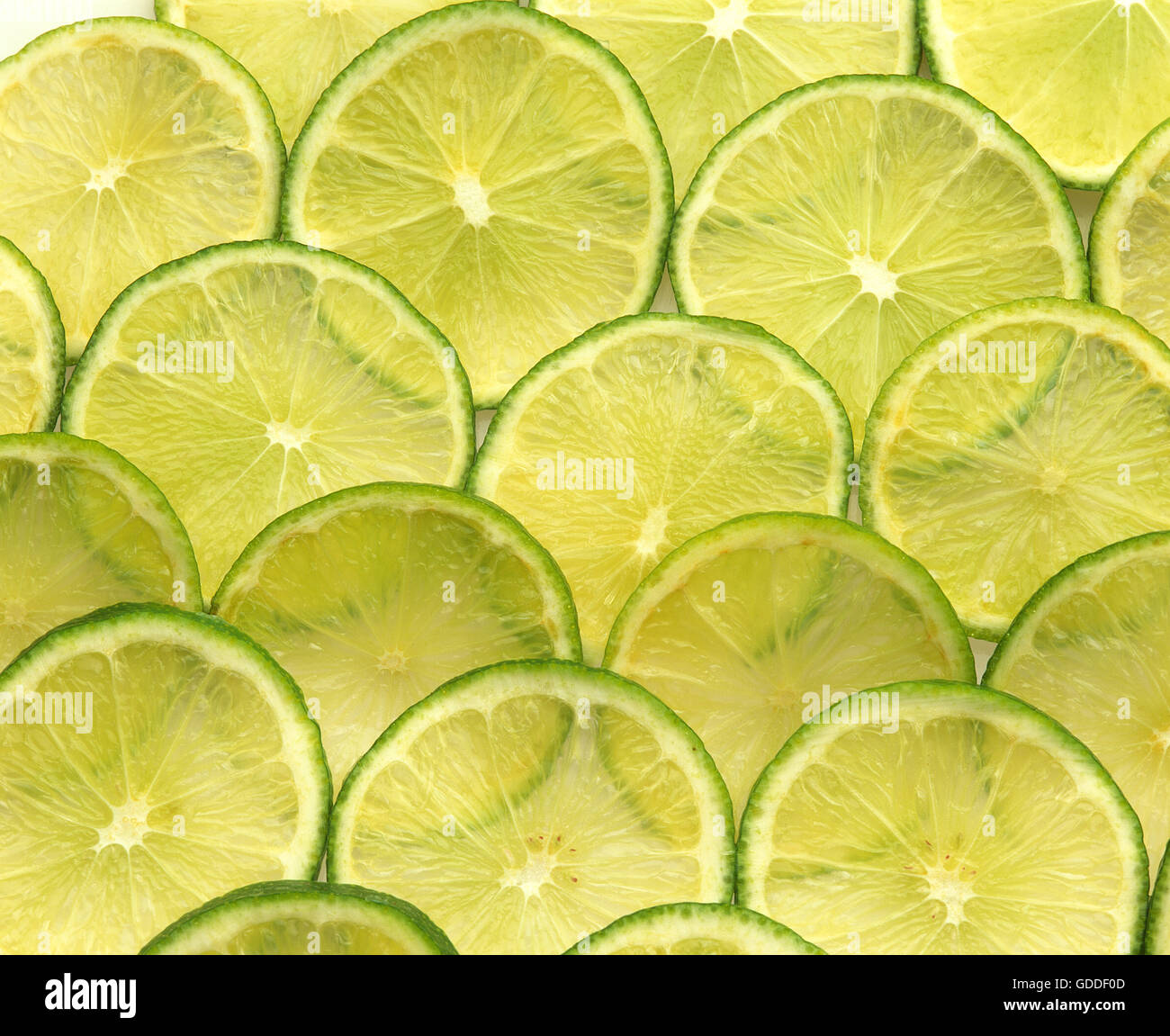 Zitronenscheiben grün, citrus aurantifolia Stockfoto