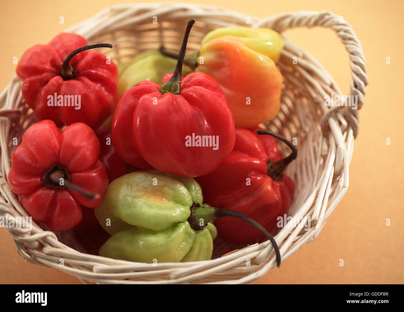 Korb mit Martinique Peperoni Capsicum annuum Stockfoto