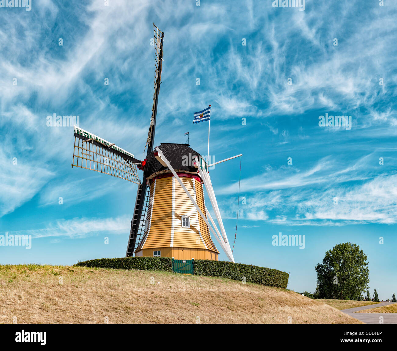 Sint Philipsland, Zeeland, Windmühle die Hoffnung Stockfoto