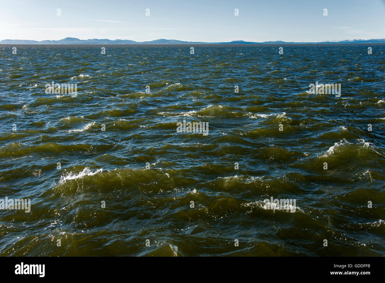 Chukchi Meer, Küste, Meer, Wasser, Wellen, Kotzebue, Alaska, USA Stockfoto
