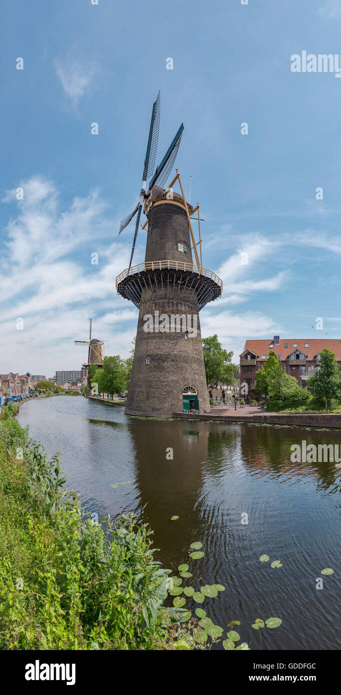 Schiedam, Turm Mühlen am Noordvest-Kanal Stockfoto