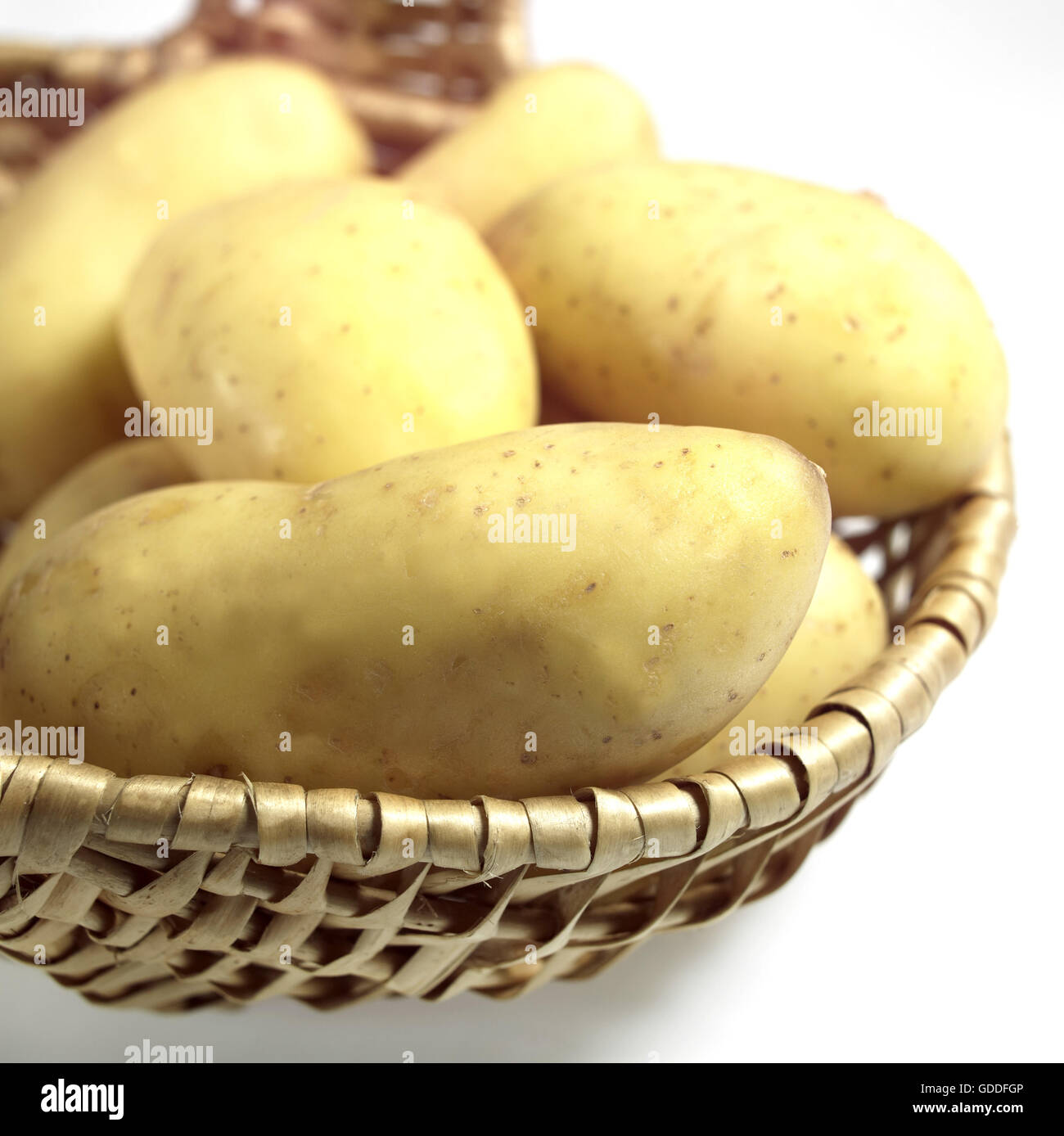 Charlotte Potato, Solanum Tuberosum, Gemüse vor weißem Hintergrund Stockfoto