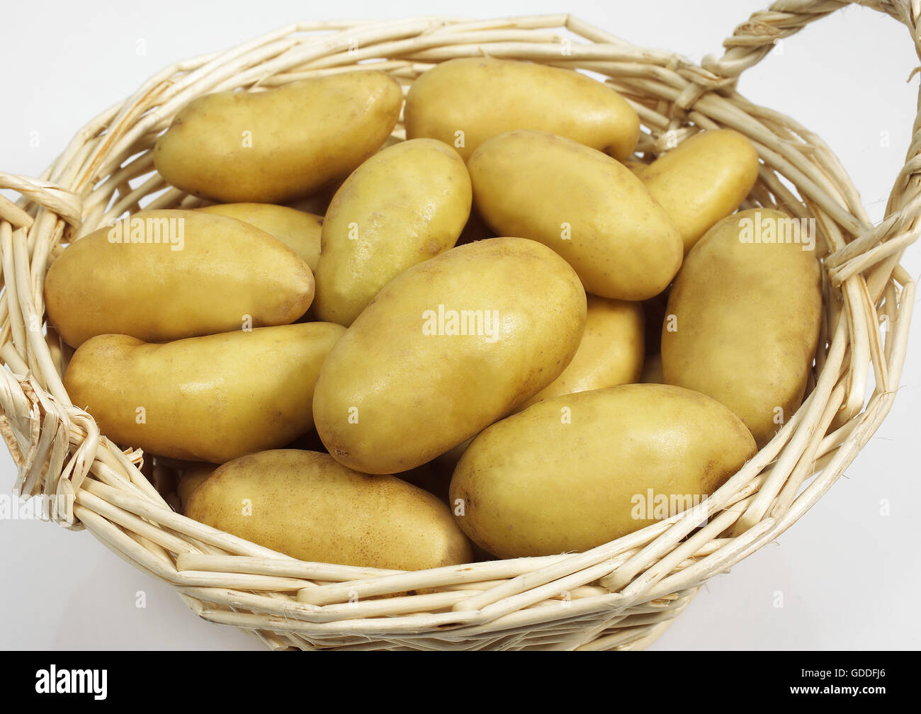 Charlotte Potato, Solanum Tuberosum, Gemüse vor weißem Hintergrund Stockfoto