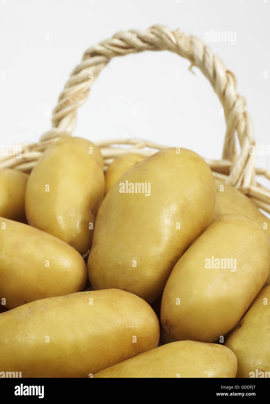 Charlotte Potato, Solanum Tuberosum, Gemüse vor weißem Hintergrund Stockfoto