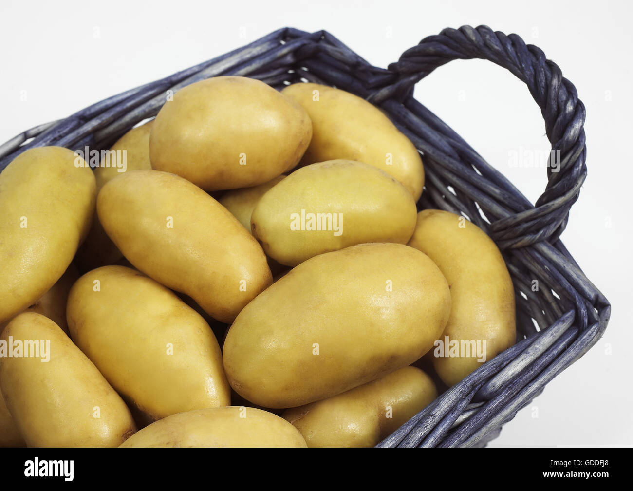 Charlotte Potato, Solanum Tuberosum, Gemüse vor weißem Hintergrund Stockfoto