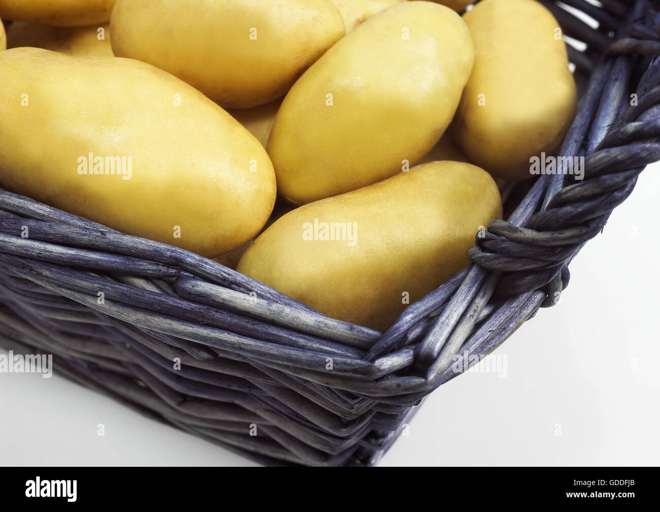 Charlotte Potato, Solanum Tuberosum, Gemüse im Korb Stockfoto