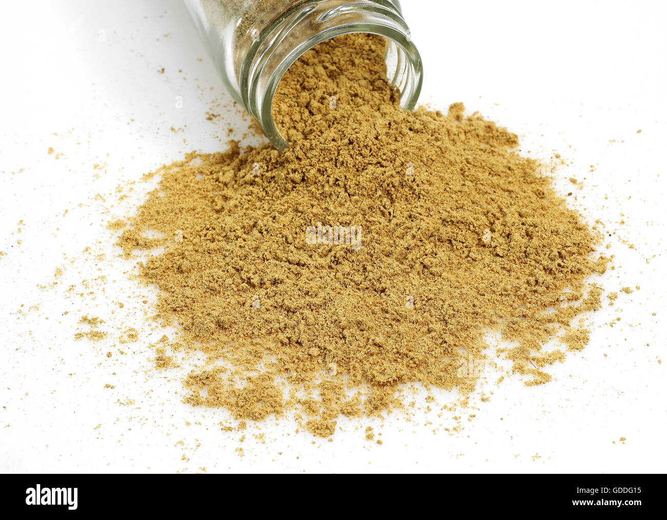 Ginger Powder, Zingiber Officinale vor weißem Hintergrund Stockfoto