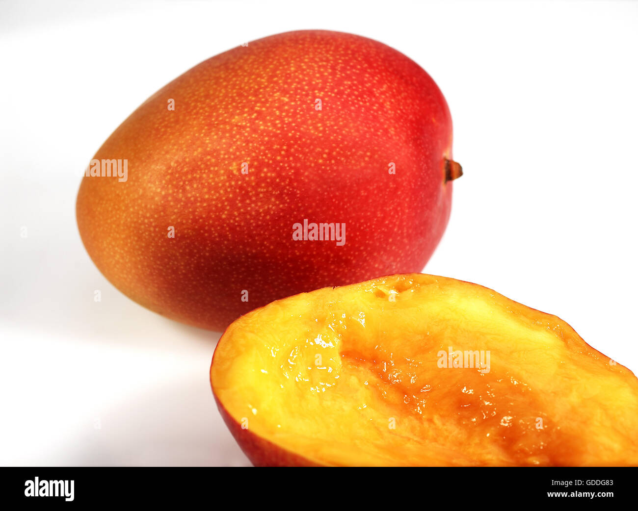 Mango, Mangifera Indica, Früchte vor weißem Hintergrund Stockfoto