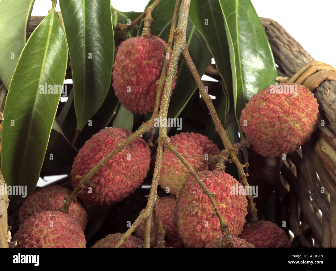 LITSCHI oder LITCHEE Litchi Sinensis IN A BASKET Stockfoto