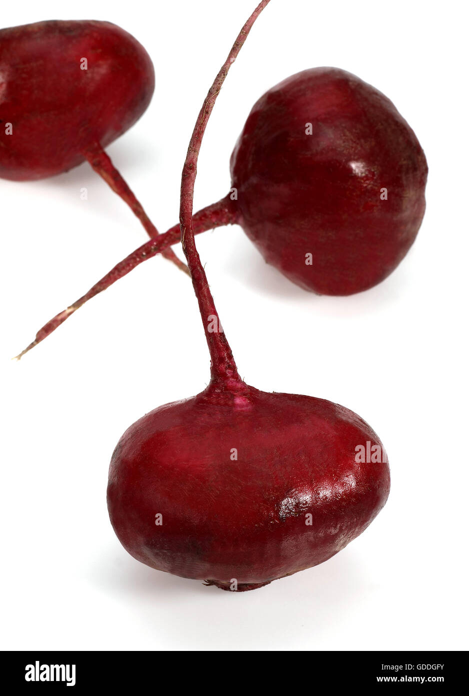 Rote Beete, Beta Vulgaris Rubra, Gemüse vor weißem Hintergrund Stockfoto