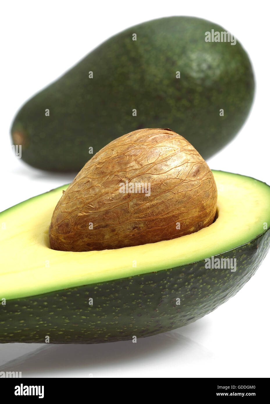 Avocado, Persea Gratissima weißen Hintergrund Stockfoto