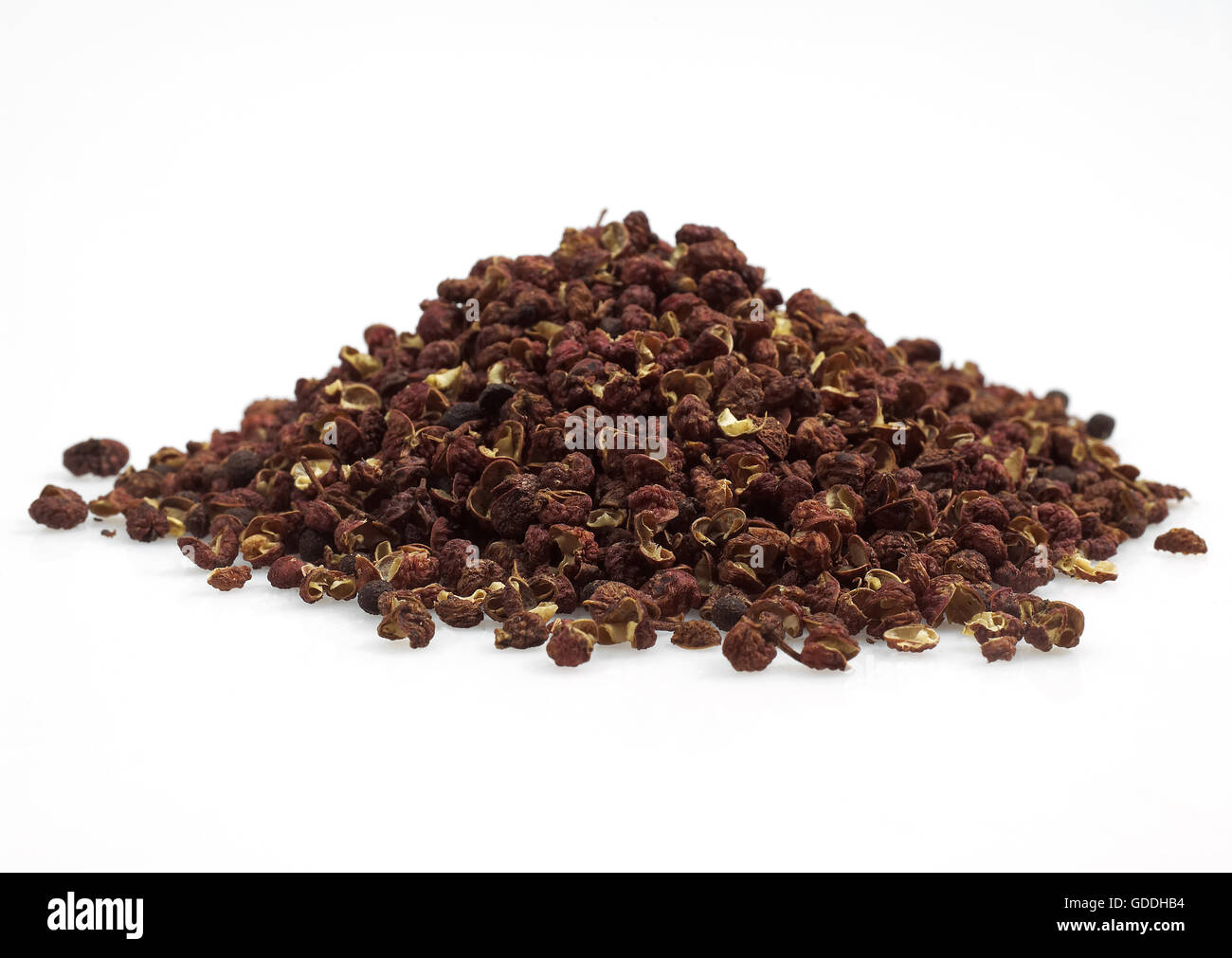 Czechuan oder Szechuan-Pfeffer, Zanthoxylum Simulans weißen Hintergrund Stockfoto