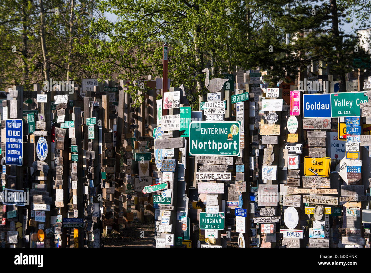 Wegweiser-Wald, Watson Lake, Yukon, Kanada, Alaska, USA, Wegweiser Stockfoto