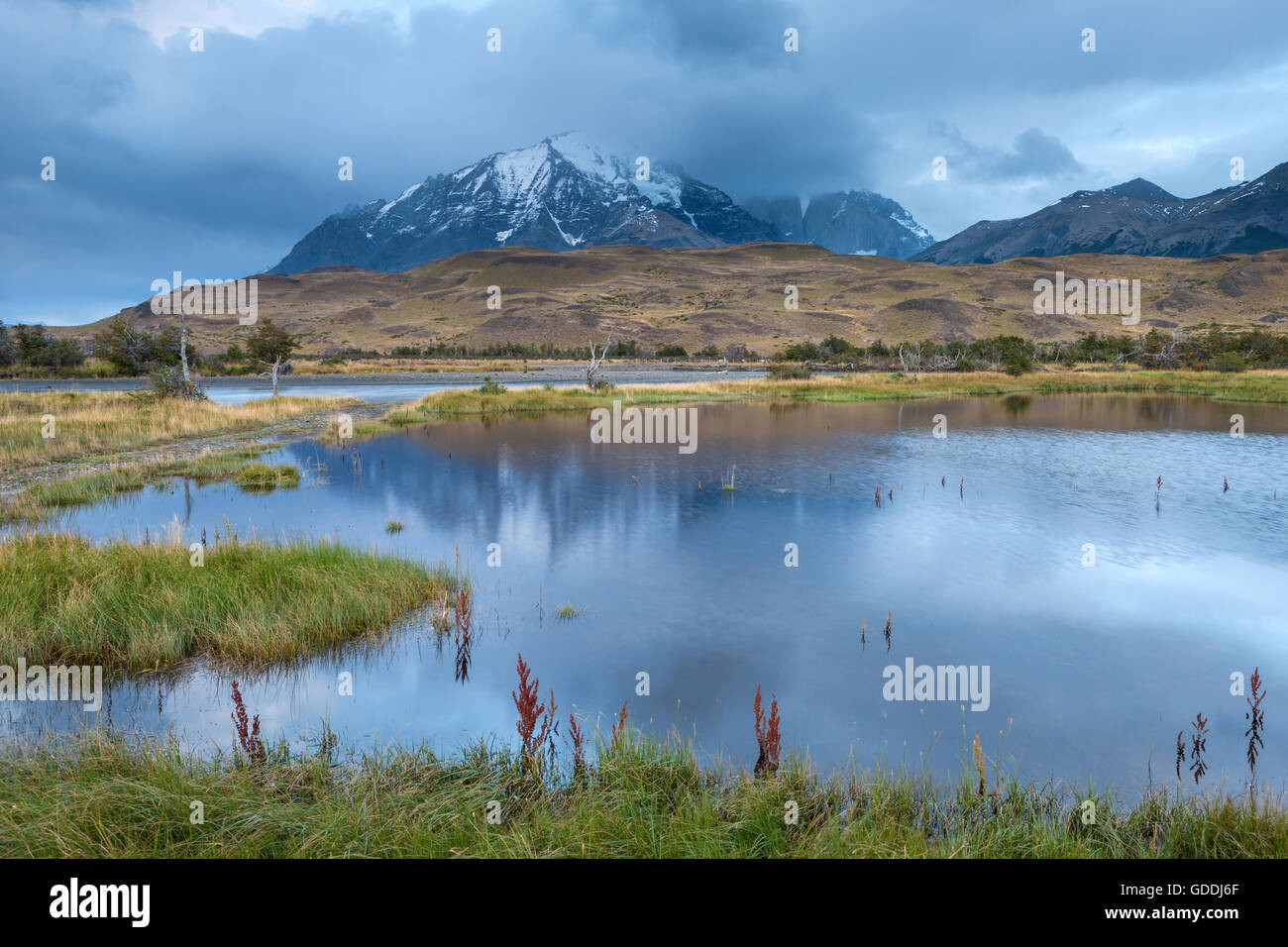 Rio Paine, Chile, Patagonien, Stockfoto