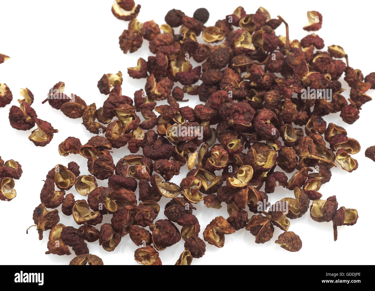 CZECHUAN ODER SICHUAN PFEFFER VOR WEIßEM HINTERGRUND Stockfoto