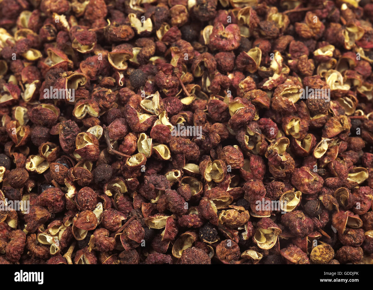 CZECHUAN ODER SZECHUAN-PFEFFER Stockfoto